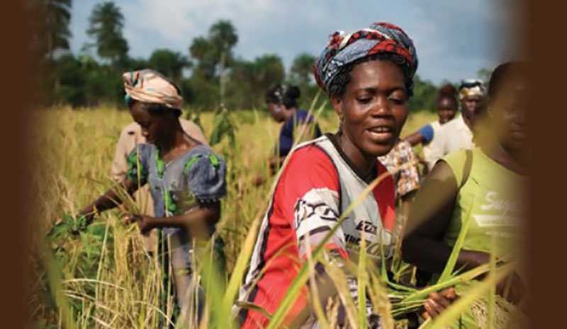 Education and Empowerment